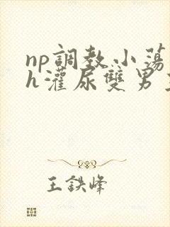 np调教小荡货h灌尿双男主