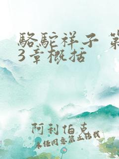 骆驼祥子 第13章概括