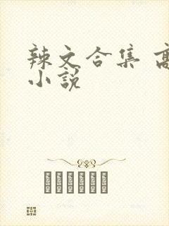 辣文合集 高h小说