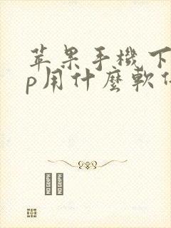 苹果手机下app用什么软件