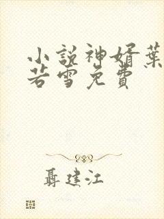 小说神婿叶凡唐若雪免费