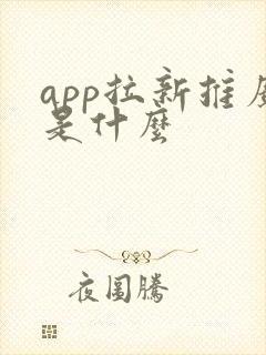 app拉新推广是什么