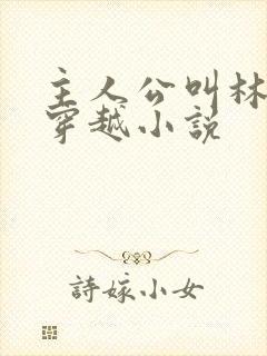 主人公叫林云的穿越小说
