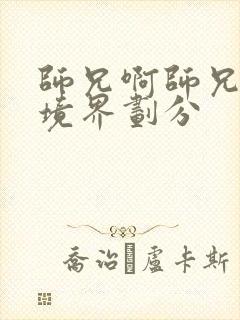 师兄啊师兄等级境界划分