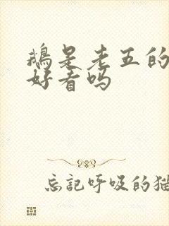 鹅是老五的小说好看吗