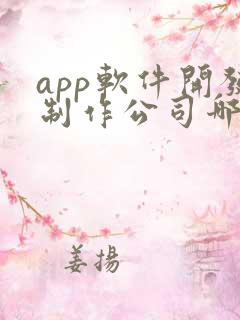 app软件开发制作公司哪家好一点