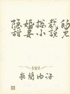 隐婚总裁的绯闻甜妻小说免费阅读