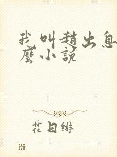 我叫赵出息是什么小说 我叫赵出息是什么小说