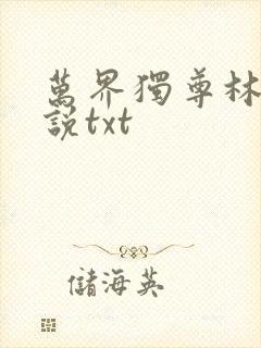 万界独尊林枫小说txt