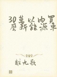 30万以内买什么新能源车好