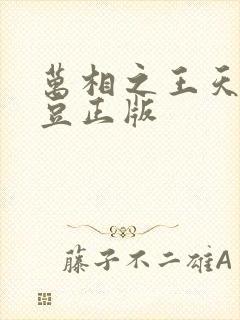 万相之王天蚕土豆正版