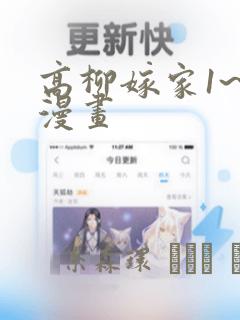 高柳嫁家1~6漫画