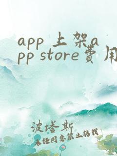 app 上架app store费用