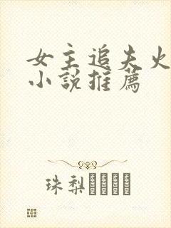 女主追夫火葬场小说推荐
