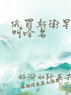 俄罗斯卫星导航叫啥名