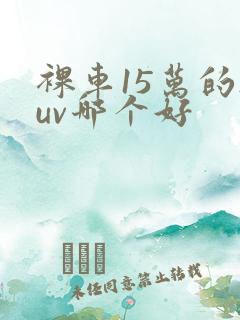 裸车15万的suv哪个好