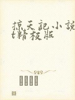 掠天记小说txt精校版