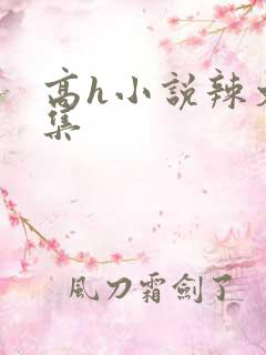 高h小说辣文合集