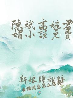 陈斌高婉君赵心媚小说免费