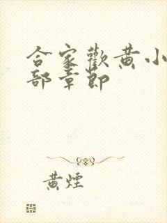 合家欢黄小梅全部章节