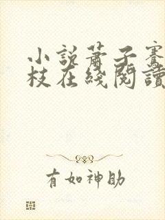小说萧子骞宋瑶枝在线阅读