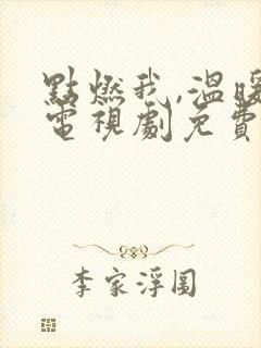 点燃我,温暖你电视剧免费观看2023