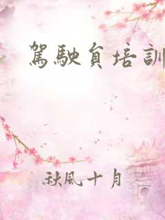 驾驶员培训要求 驾驶员培训要求