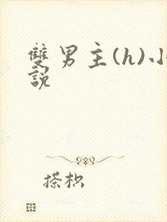 双男主(h)小说