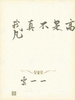 我真不是高人李凡