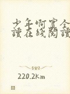 少年啊宾全文阅读在线阅读全文第一季