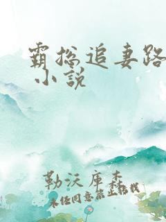 霸总追妻路漫漫 小说