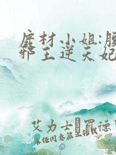 废材小姐:腹黑邪王逆天妃 叶轻轻