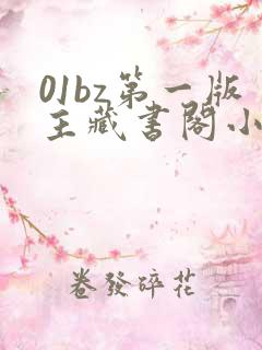 01bz第一版主藏书阁小说网