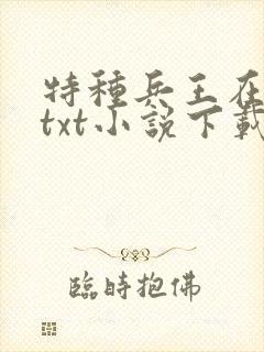 特种兵王在山村txt小说下载