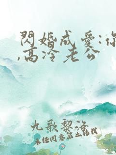 闪婚成爱:你好,高冷老公