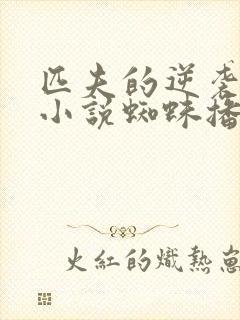 匹夫的逆袭有声小说蜘蛛播音