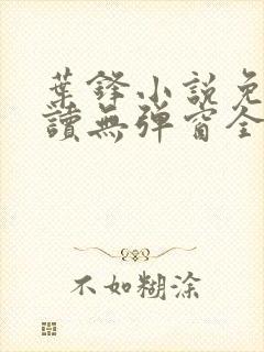 叶锋小说免费阅读无弹窗全文