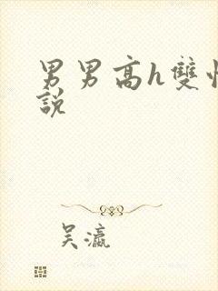 男男高h双性小说