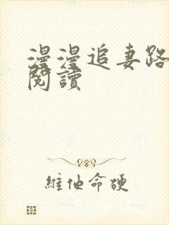 漫漫追妻路全文阅读