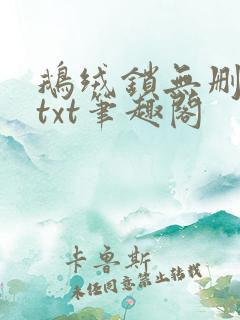鹅绒锁无删减版txt笔趣阁