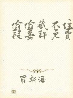 偷偷藏不住桑稚段嘉许免费阅读小说