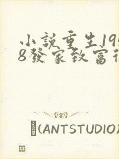 小说重生1958发家致富从南锣鼓巷开始