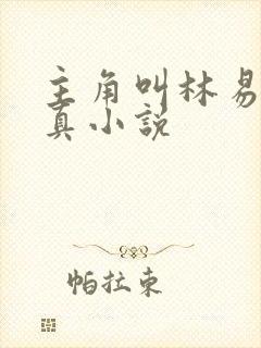 主角叫林易的修真小说