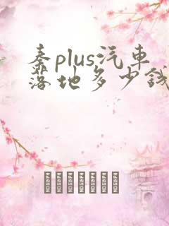 秦plus汽车落地多少钱