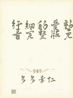 纤细的爱动漫观看完整版免费观看