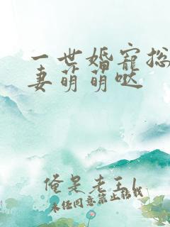 一世婚宠总裁宠妻萌萌哒