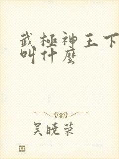 武极神王下一部叫什么