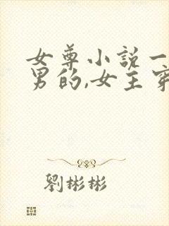 女尊小说一女多男的,女主穿越文