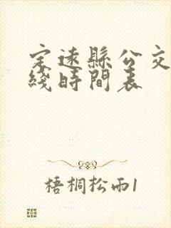 定远县公交车路线时间表