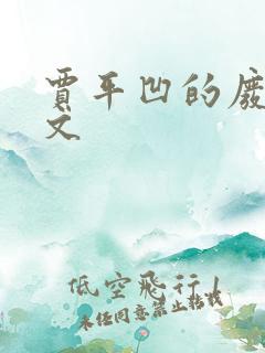 贾平凹的废都全文